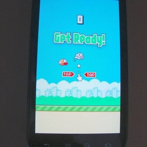 Originale flappy b1rd - b1rd, 2013